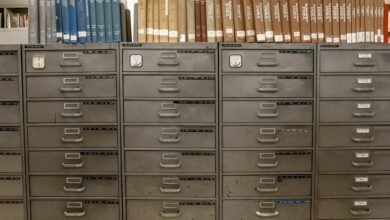 infoedge solutions backlink service